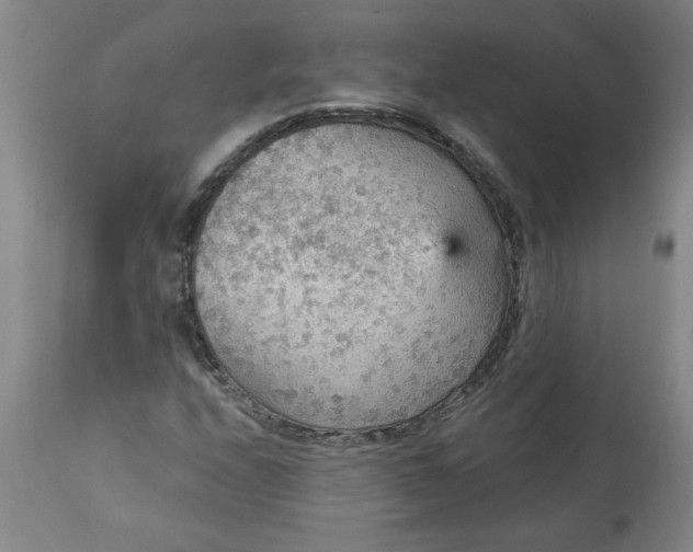 X0000113551208200910021522