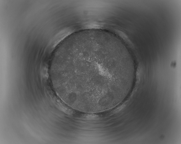 X0000113551209200910021522