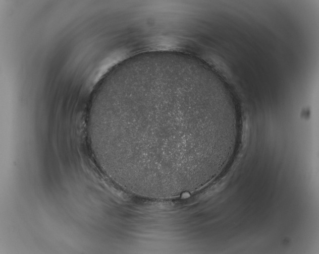 X0000113551210200910021522