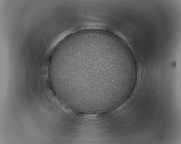 X0000113551211200910021522