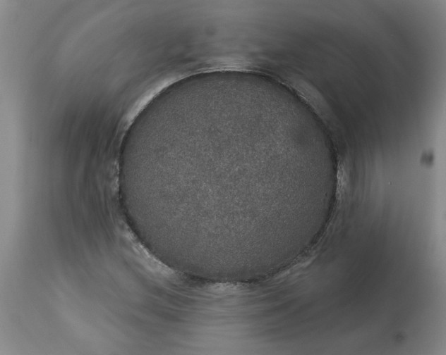 X0000113551212200910021522