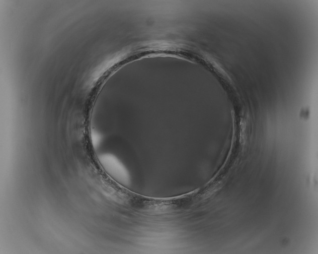 X0000113551213200910021522