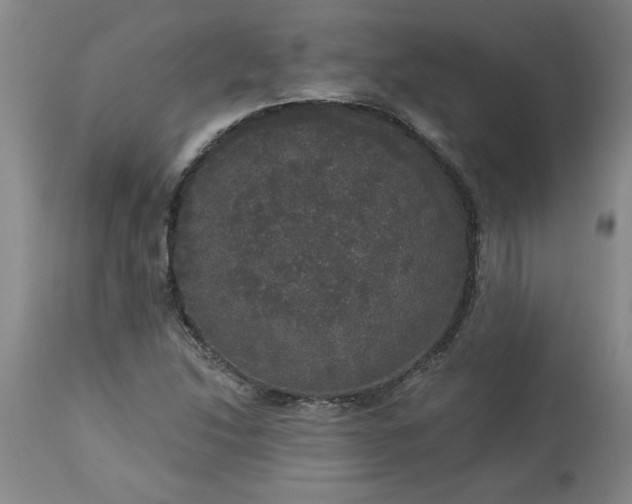 X0000113551214200910021522