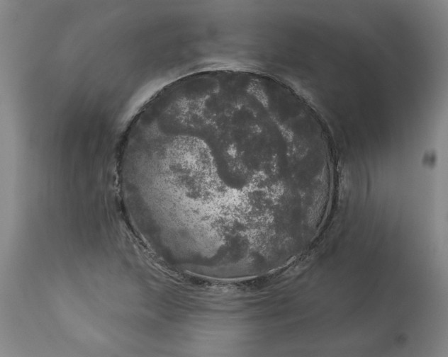 X0000113551215200910021522