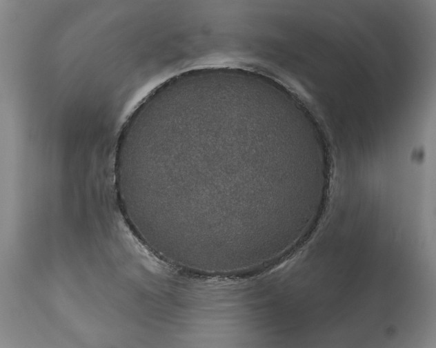 X0000113551216200910021522