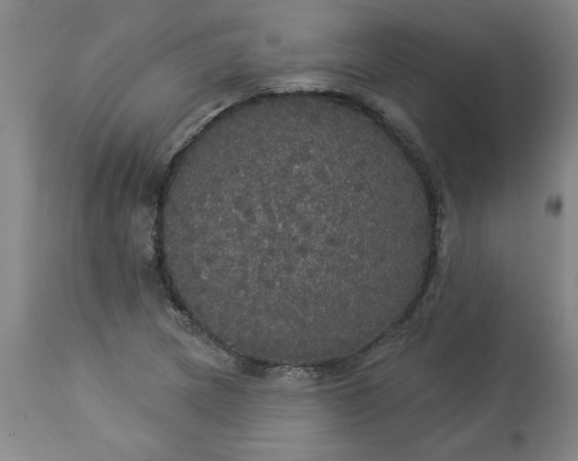 X0000113551217200910021522