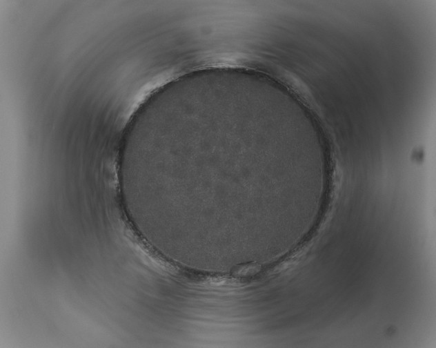 X0000113551218200910021523