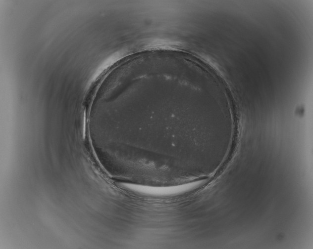 X0000113551219200910021523