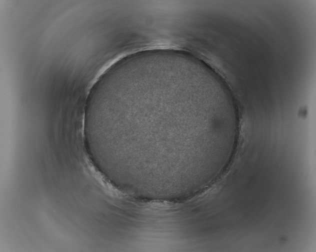 X0000113551220200910021523