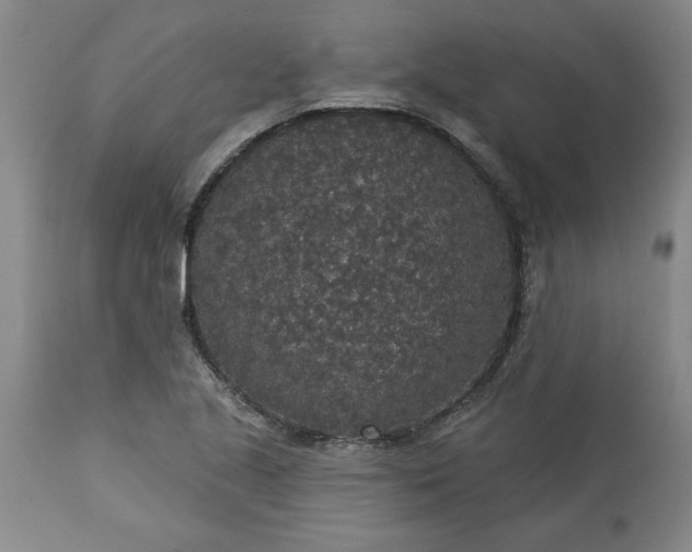 X0000113551221200910021523