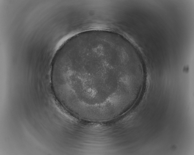 X0000113551222200910021523