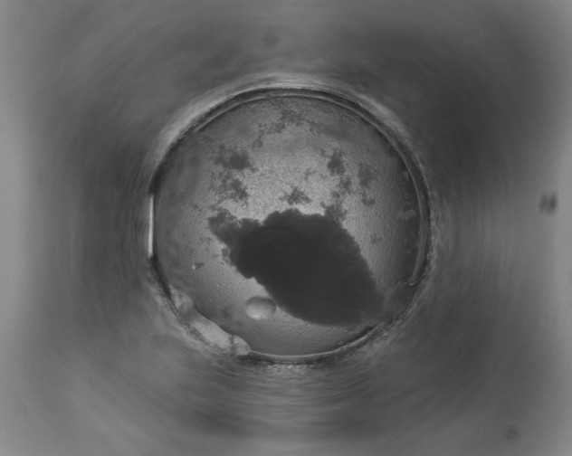 X0000113551223200910021523