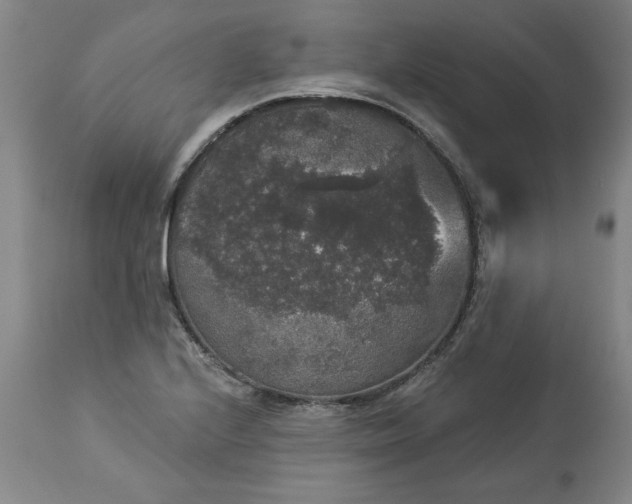 X0000113551224200910021523