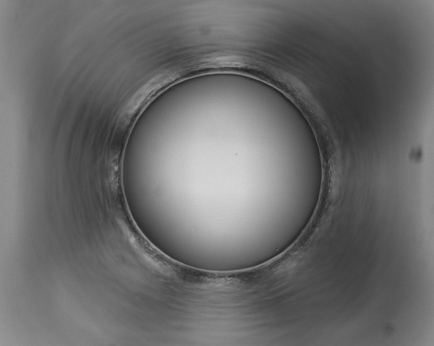 X0000113551225200910021523