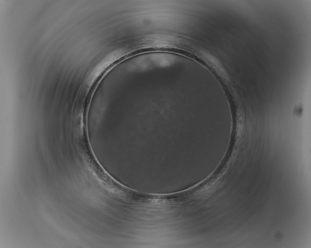 X0000113551226200910021523