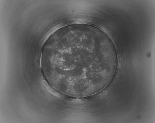 X0000113551227200910021523