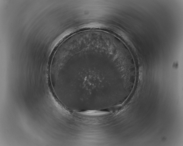 X0000113551229200910021523