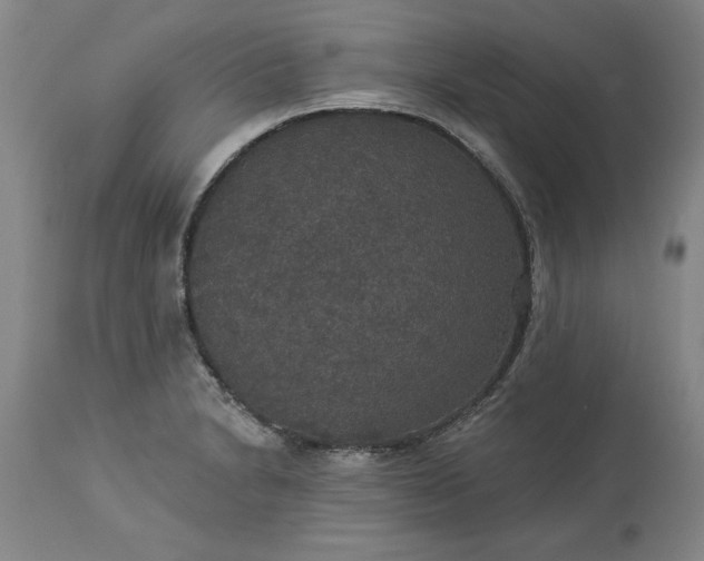 X0000113551230200910021523