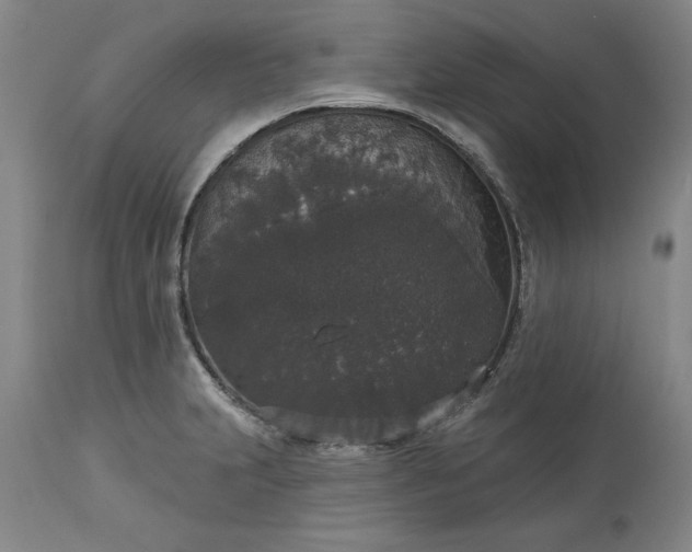 X0000113551231200910021523