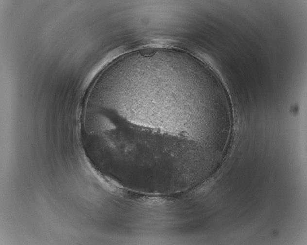 X0000113551235200910021523