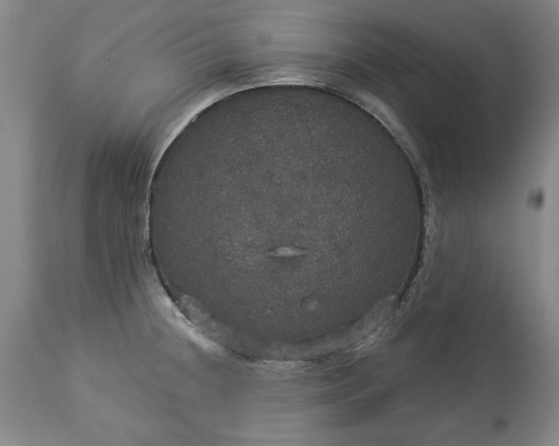 X0000113551236200910021523