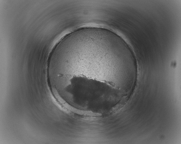 X0000113551237200910021523