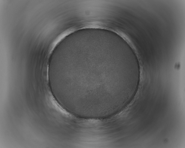 X0000113551238200910021523