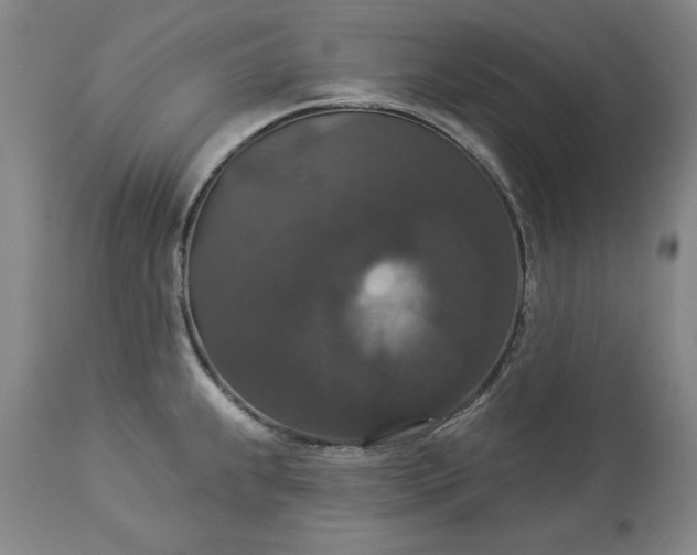 X0000113551239200910021523