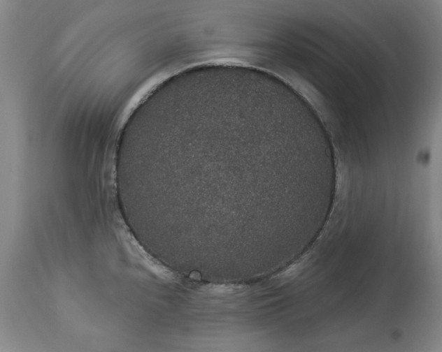 X0000113551240200910021523