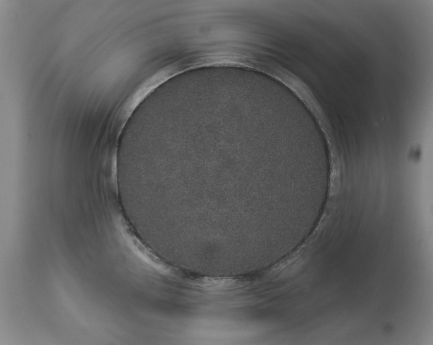 X0000113551242200910021523