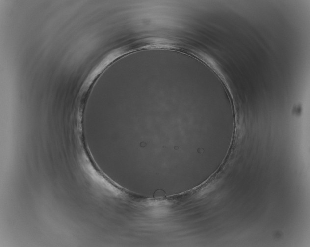 X0000113551243200910021523