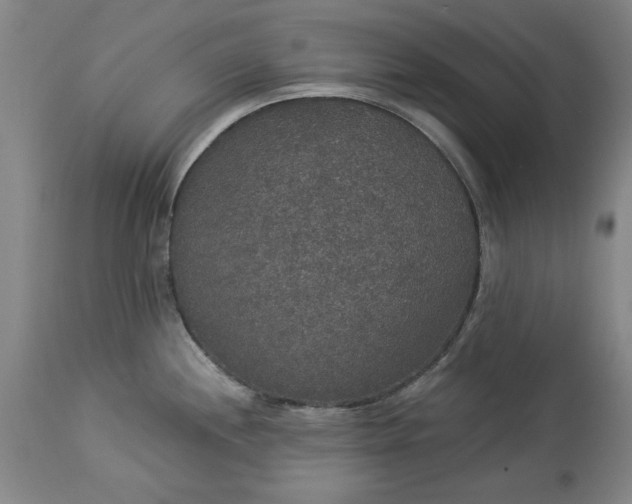 X0000113551244200910021523