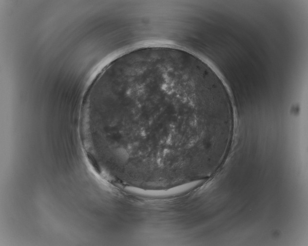 X0000113551245200910021523