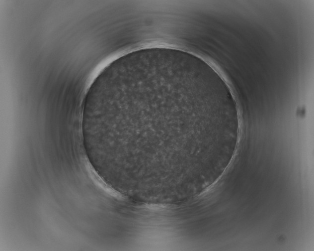 X0000113551246200910021523