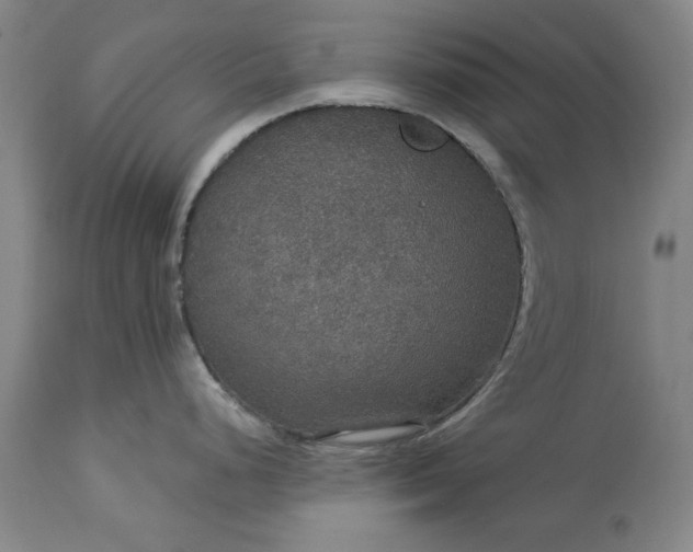 X0000113551248200910021523