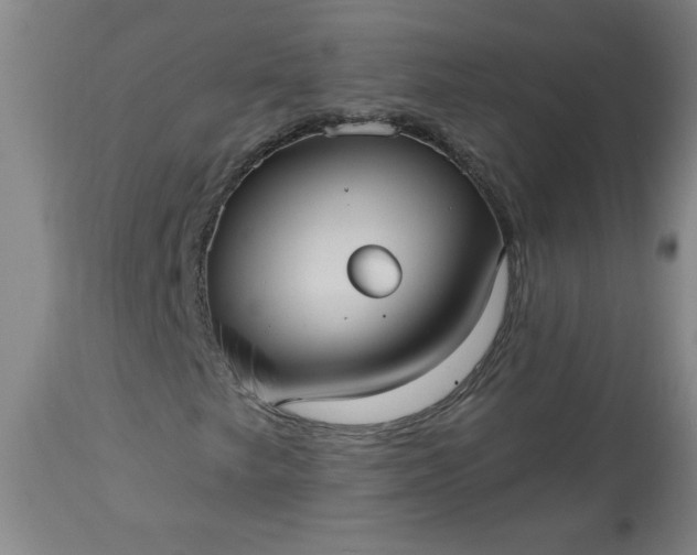 X0000113551249200910021522