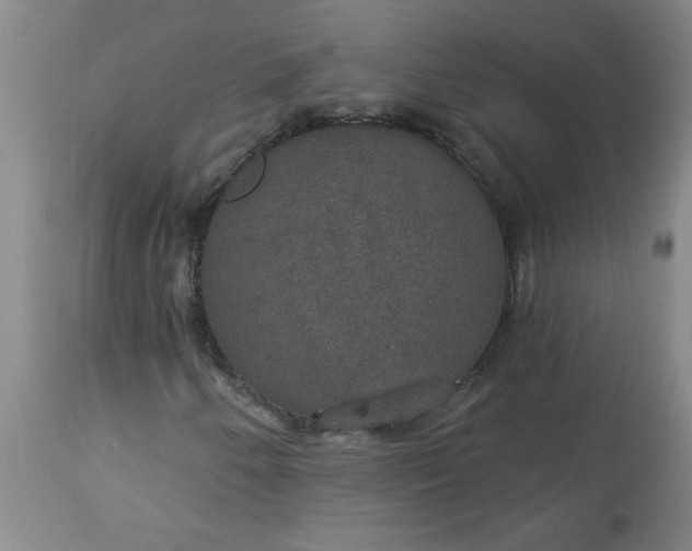 X0000113551250200910021522