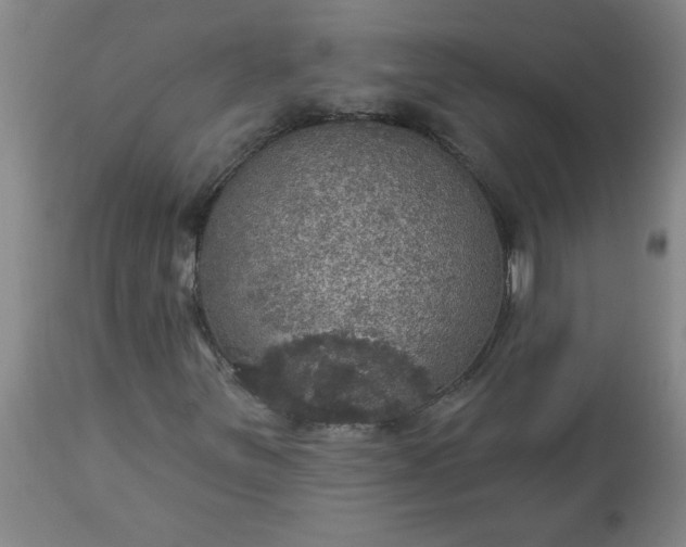 X0000113551251200910021522