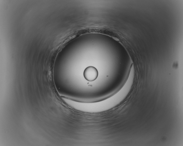 X0000113551252200910021522