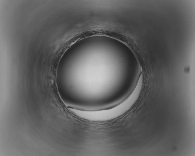 X0000113551253200910021522