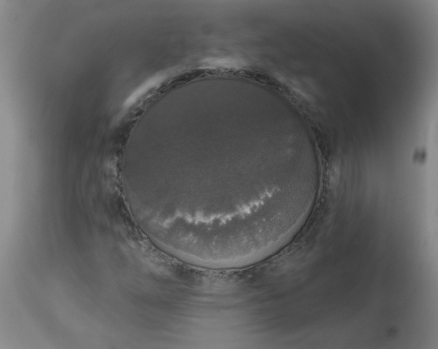 X0000113551254200910021522