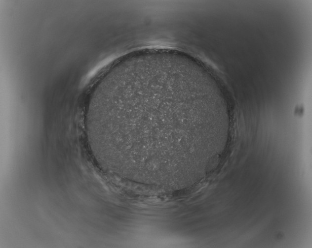 X0000113551255200910021522