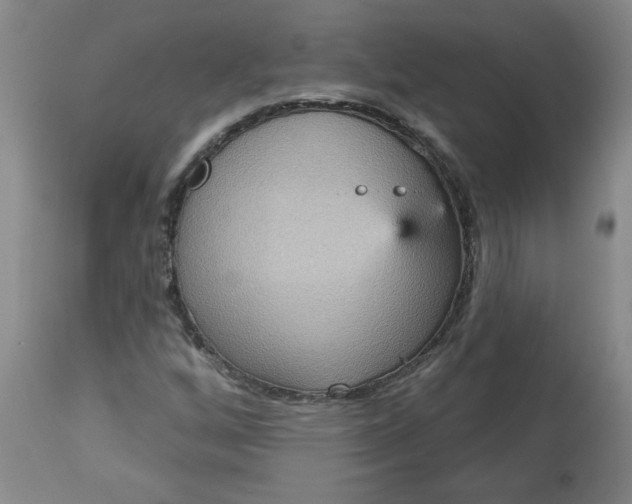 X0000113551256200910021522