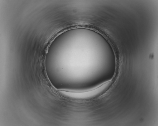 X0000113551257200910021522