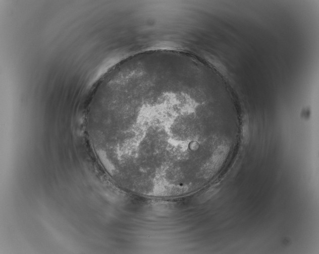 X0000113551258200910021522