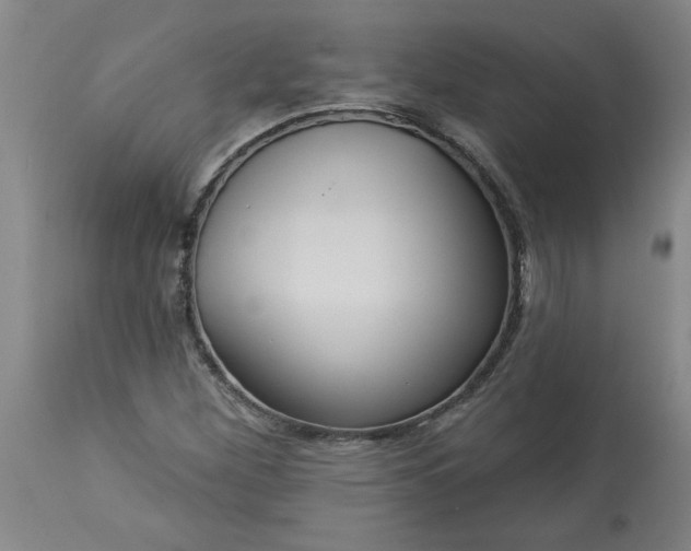 X0000113551260200910021522