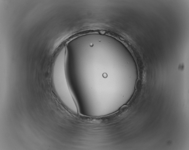 X0000113551261200910021522