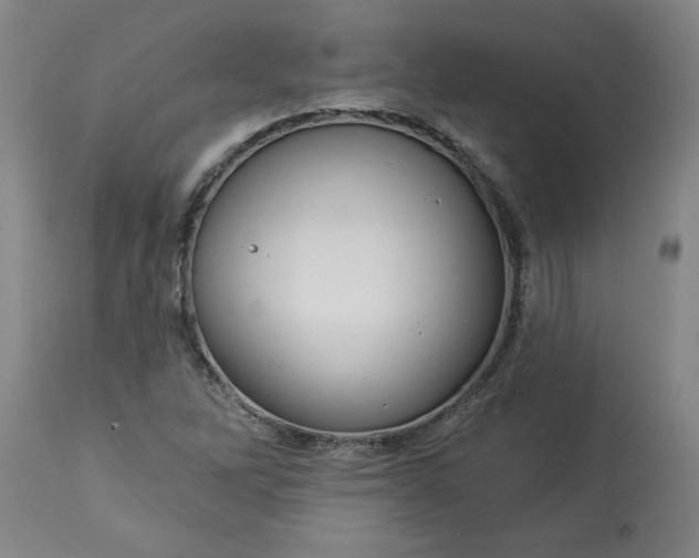 X0000113551262200910021522