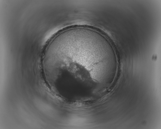 X0000113551263200910021522