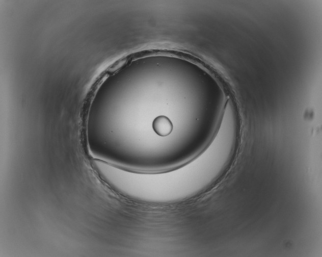 X0000113551264200910021522